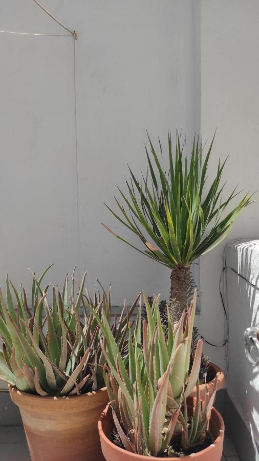 Cadiz Playa La Caleta Terraza Con Barbacoa Apartment Ngoại thất bức ảnh